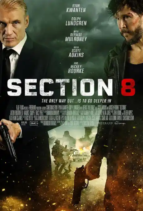 section-8